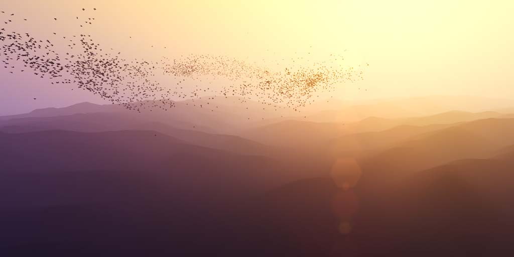 VISUAL SYMPHONY